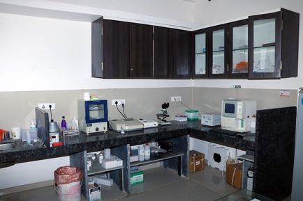 Diagnostic Section