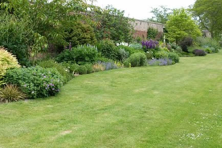 Garden Area